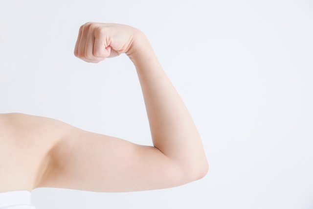 筋力アップが中心のレッスンが多い