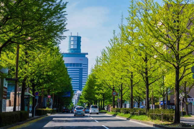 仙台ホットヨガアイキャッチ