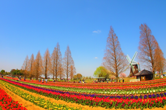 柏で人気のおすすめホットヨガスタジオ・ヨガ教室のサービス内容を比較!