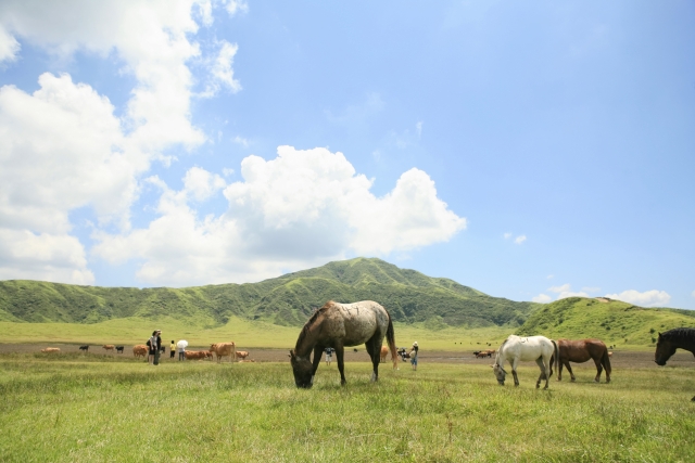 熊本のホットヨガスタジオを全て一覧表で比較!