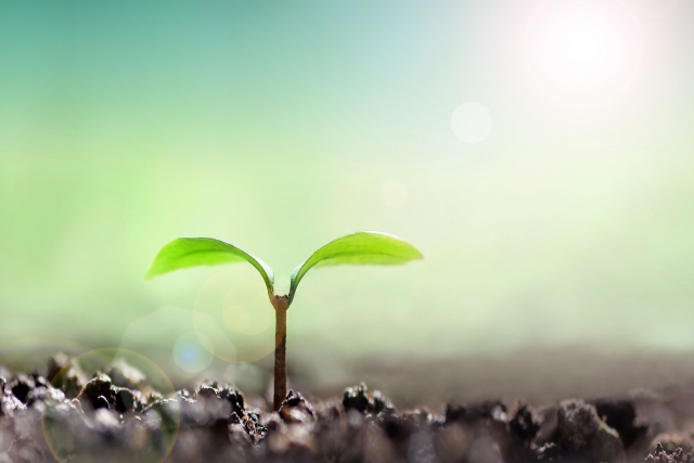 ストレスが解消され心が落ち着く