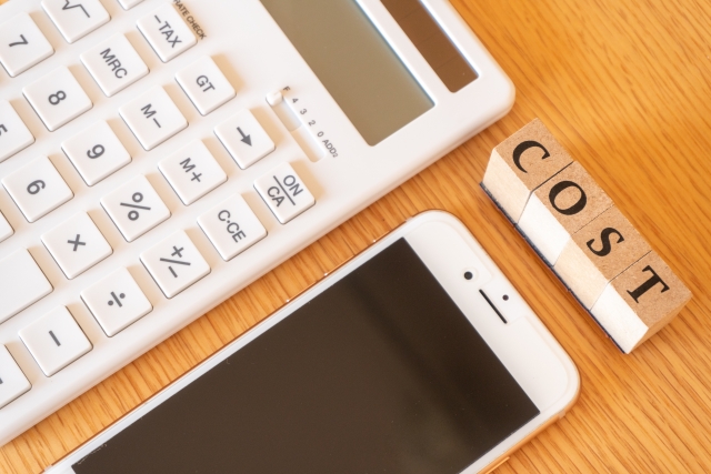 オンラインヨガSOELU(ソエル)の体験レッスン料金