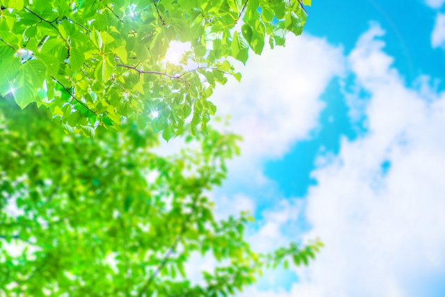 LAVA(ラバ)のヨガフローアドバンスの効果やメリット